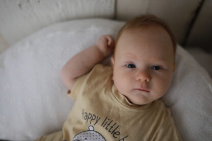 Das ZIRBENBABY-Basis-Set – Bild 7