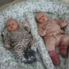 Das ZIRBENBABY-Babynestchen WEIT für Zwillinge – Bild 5